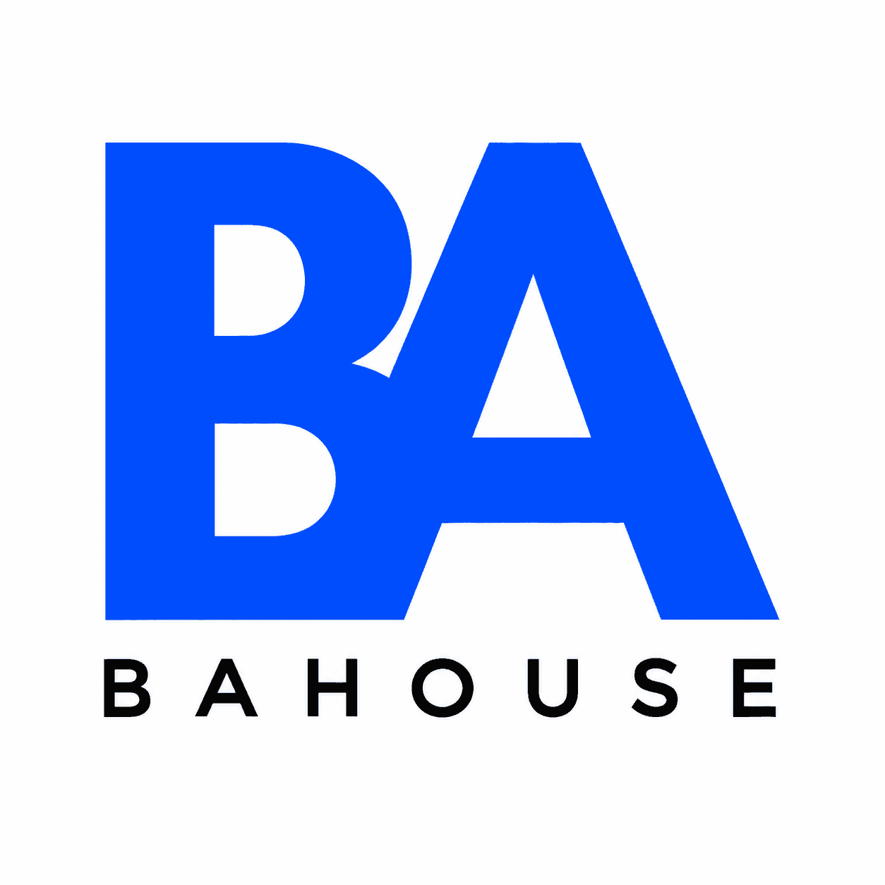 BAHOUSE LTD profile